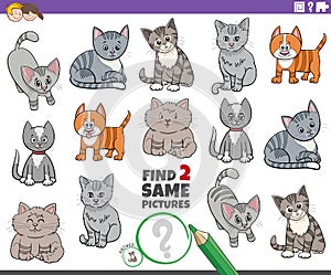 Find two same cartoon cats characters educational game