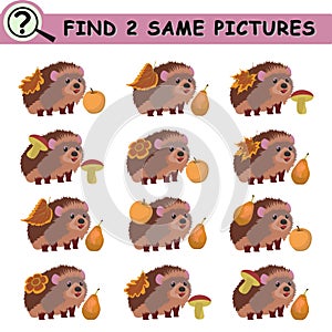 Find two same cartoon hedgehog.