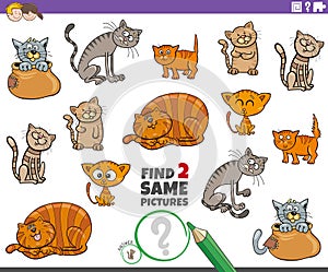 Find two same cat or kitten characters game for kids