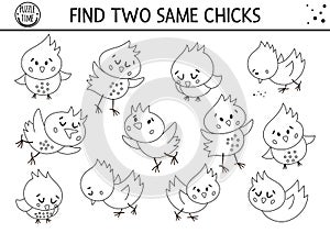 Find two same chicks. Easter black and white matching activity for children. Funny spring educational logical quiz worksheet for