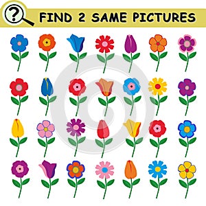 Find two same flowers. Educational logical game for children.