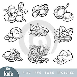 Find two the same pictures, education game. Black and white set of nuts