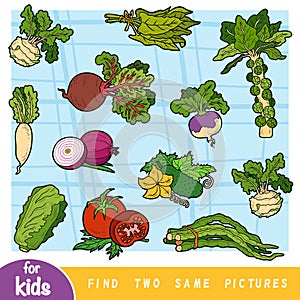 Find two the same pictures, education game for children.
