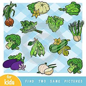 Find two the same pictures, education game for children