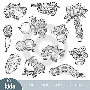 Find two the same pictures, education game for children. Set of vegetables