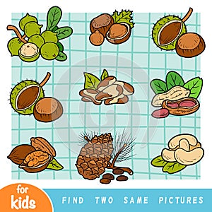 Find two the same pictures, education game. Colorful set of nuts