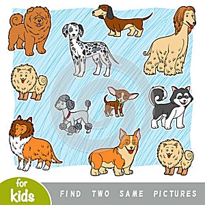 Find two the same pictures, education game. Set of cartoon dogs