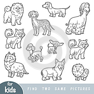 Find two the same pictures, education game. Set of cartoon dogs