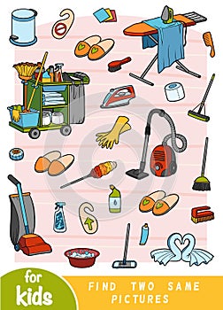 Find two the same pictures, game for children. Color set of objects for cleaning