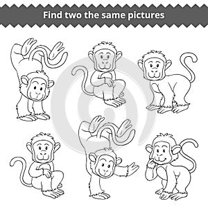 Find two the same pictures, game for children, monkey