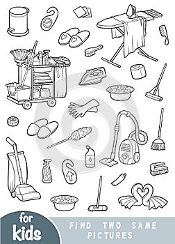 Find two the same pictures, game for children. Set of objects for cleaning and housekeeping