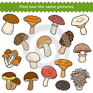 Find two the same pictures, set of mushrooms