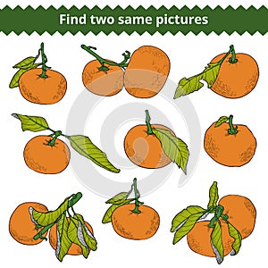 Find two same pictures. Vector color set of mandarines