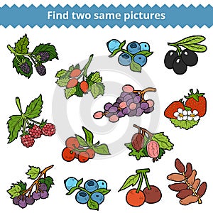 Find two same pictures. Vector set of berries