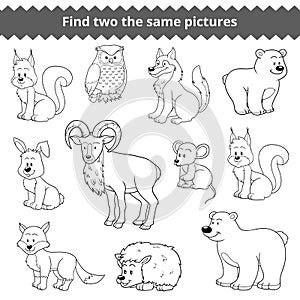 Find two the same pictures, vector set of forest animals