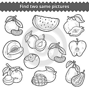Find two same pictures. Vector set of fruits
