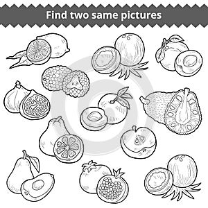 Find two same pictures. Vector set of fruits