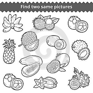 Find two same pictures. Vector set of fruits