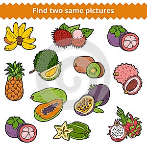 Find two same pictures. Vector set of fruits