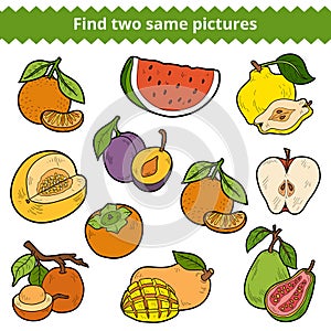 Find two same pictures. Vector set of fruits