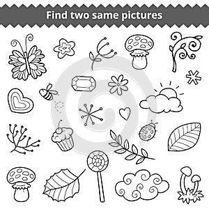 Find two same pictures. Vector set of natural items