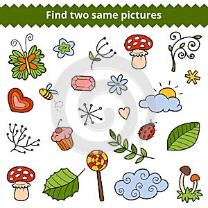Find two same pictures. Vector set of natural items