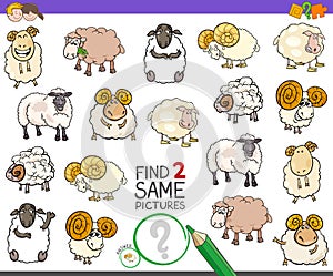 Find two same sheep characters game for kids