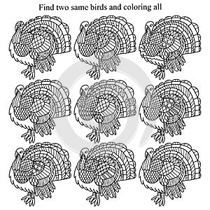 Find two same turkey birds and coloring all children worksheet.