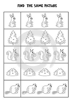 Find two the same woodland animals. Black and white worksheet.