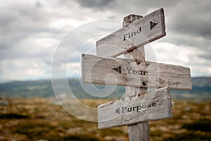 Find your purpose signpost outdoors photo