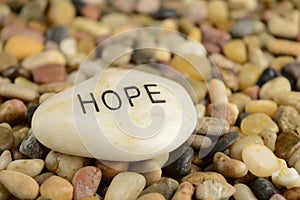 Finding The Hope