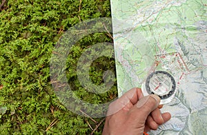 Finding the right position in the forest with a compass