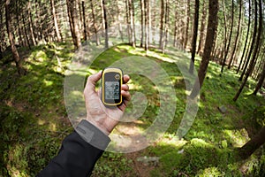 Finding the right position in the forest via gps