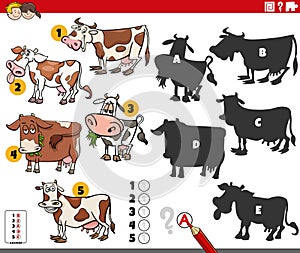 finding shadows activity with cartoon cows characters