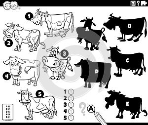 finding shadows activity with cartoon cows coloring page