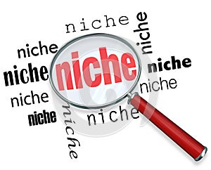 Finding a Targeted Niche - Magnifying Glass