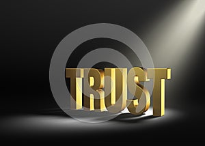 Zjištění důvěřovat 