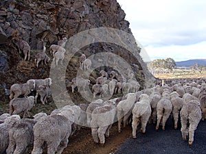 Finding the Way, Tasmania, Australia