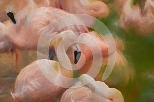 Fine art, artwork. Digital abstract oil painting of a juvenile Flamingo
