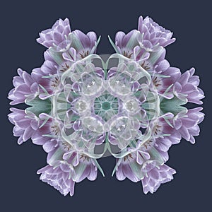Color pattern made from macros of violet green tulips photo