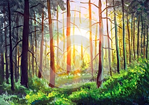Fine art painting Summer Sunny Forest Trees And Green Grass. Nature park