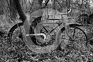 Fine Art Photography Old Bike