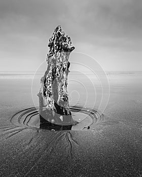 Fine art photography of sea stack on the beach