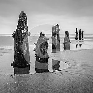 Fine art photography of sea stacks on the beach