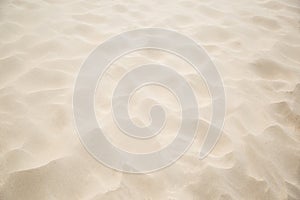 Fine beach sand in the summerBackground .