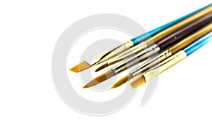 Fine bristle paint brushes on a white background