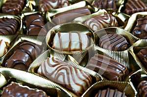 Fine brown white chocolate pralines close up macro shot