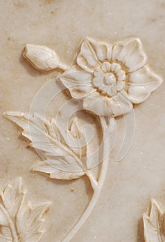 Fine Carves of Flower