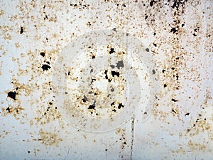 Fine cracks in the paint