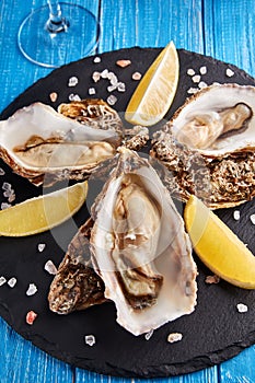 Fine de claire oysters with lemon and white wine